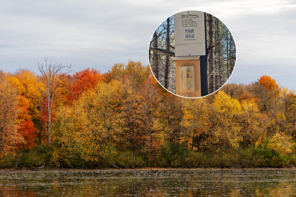 About 1 hour from Toronto, this hidden forest has towering trees, gorgeous fall colours, and a fascinating history
