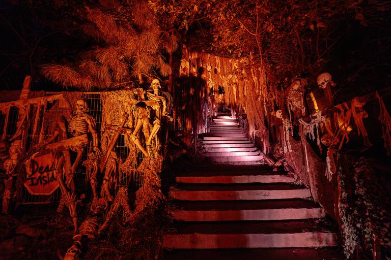 Spinal Projection Toronto’s historic castle will soon transform into a massive haunted ...
