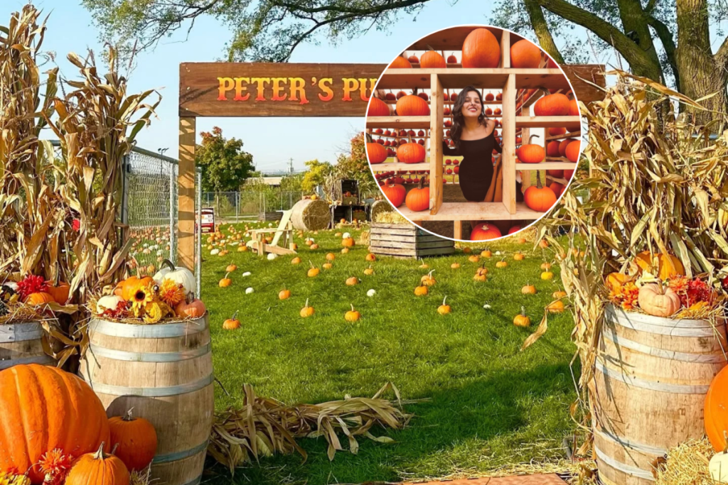 A massive pumpkin festival returns  to Toronto this weekend with unlimited rides and inflatables