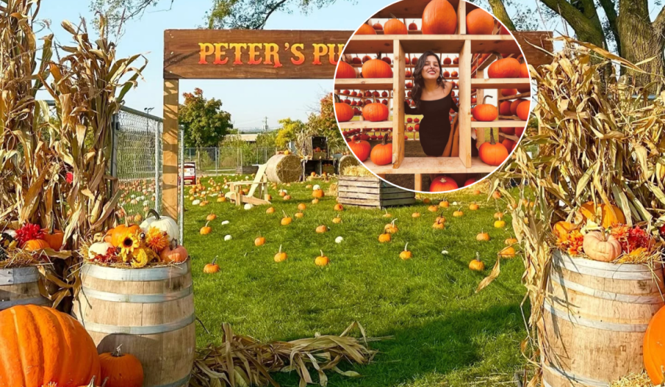 A massive pumpkin festival returns  to Toronto this weekend with unlimited rides and inflatables