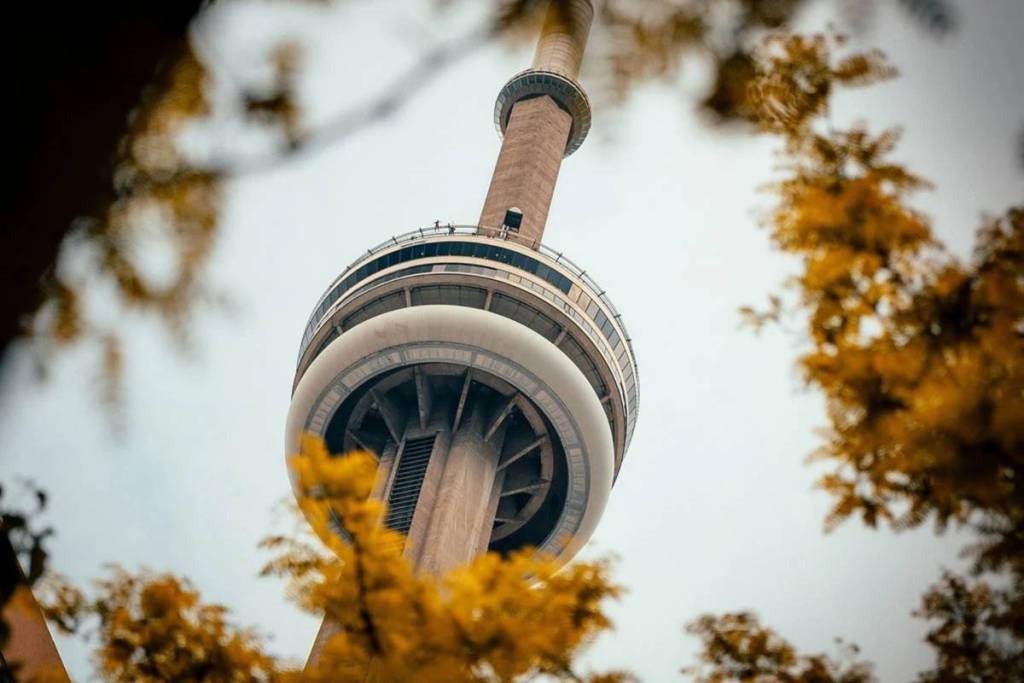 Environment Canada issues a Yellow Advisory for Toronto as first frost of the season hits