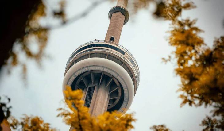 Environment Canada issues a Yellow Advisory for Toronto as first frost of the season hits