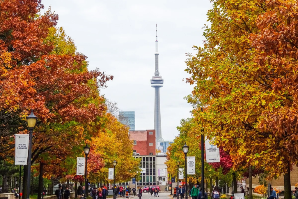Ce qui est ouvert et fermé à Toronto ce lundi de Thanksgiving