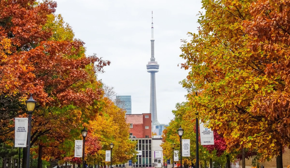 What’s open and closed in Toronto on Thanksgiving Monday