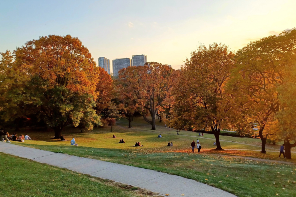 One of the strongest El Niños on record could influence Toronto’s fall colours