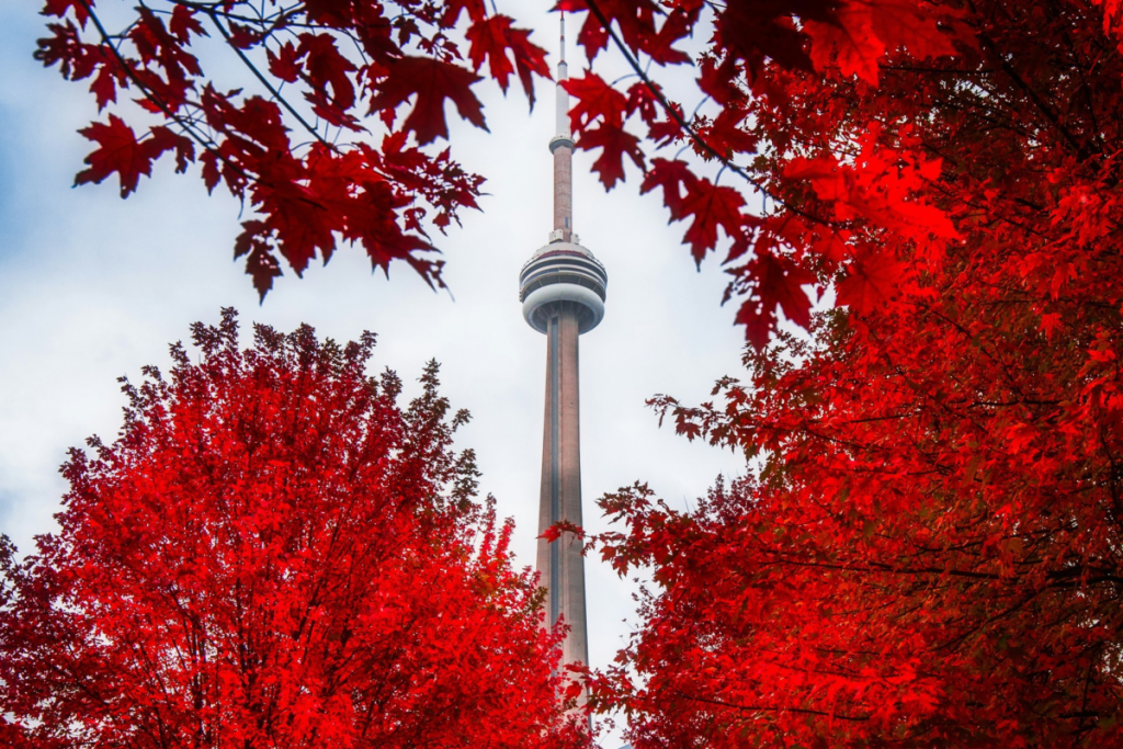 Toronto’s fall colours are about to reach their peak — here’s when and where to see the best views