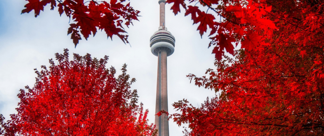 Les couleurs d’automne de Toronto sont sur le point d’atteindre leur apogée — voici quand et où profiter des plus belles vues