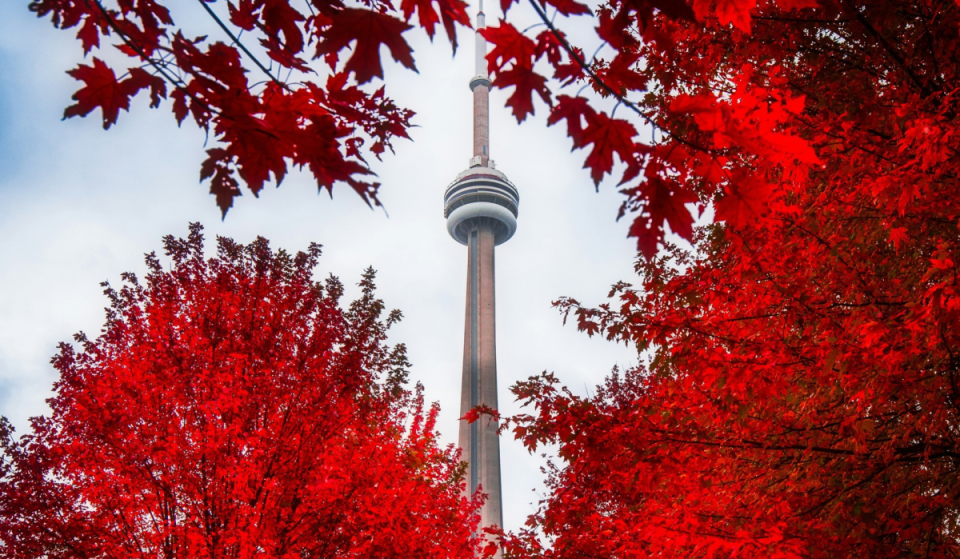 Toronto’s fall colours are about to reach their peak — here’s when and where to see the best views