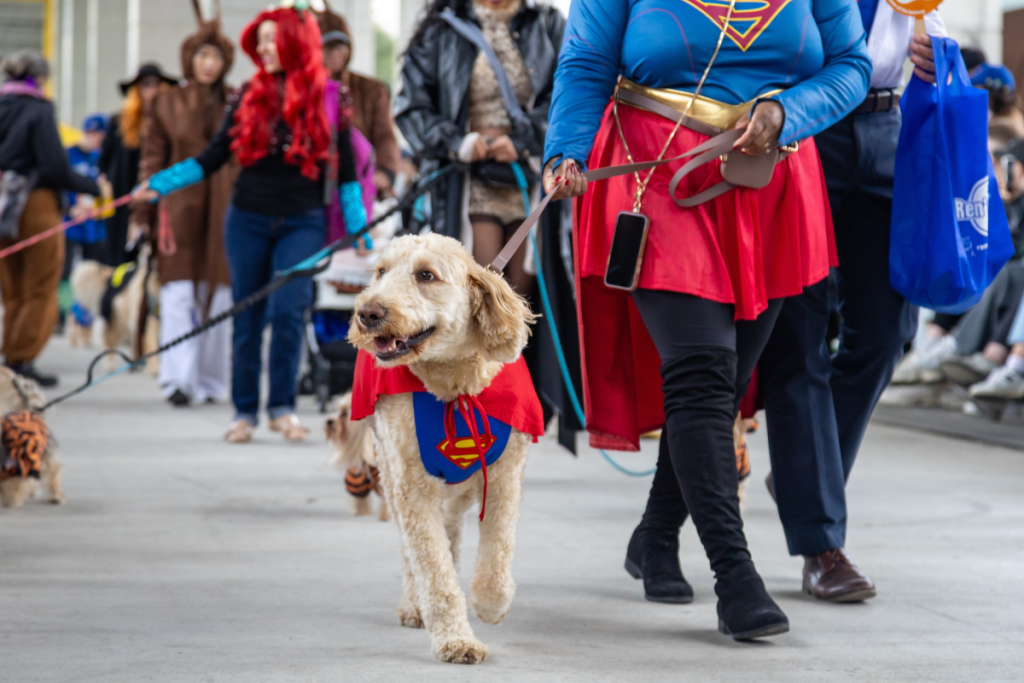 Toronto’s adorable dog costume party Howl’oween returns this October with a free party under the Gardiner Expressway