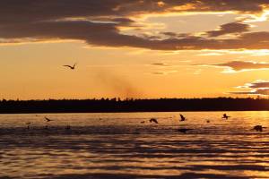 Parts of Ontario will no longer change their clocks this November, making daylight saving time permanent