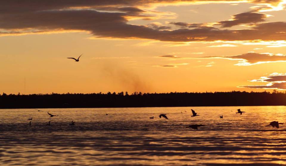 Parts of Ontario will no longer change their clocks this November, making daylight saving time permanent