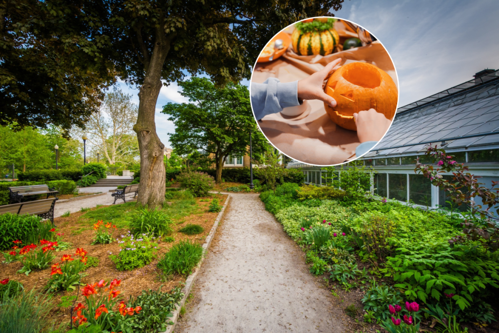 Toronto is getting 3 pumpkin carving events at a historic garden just in time for Halloween
