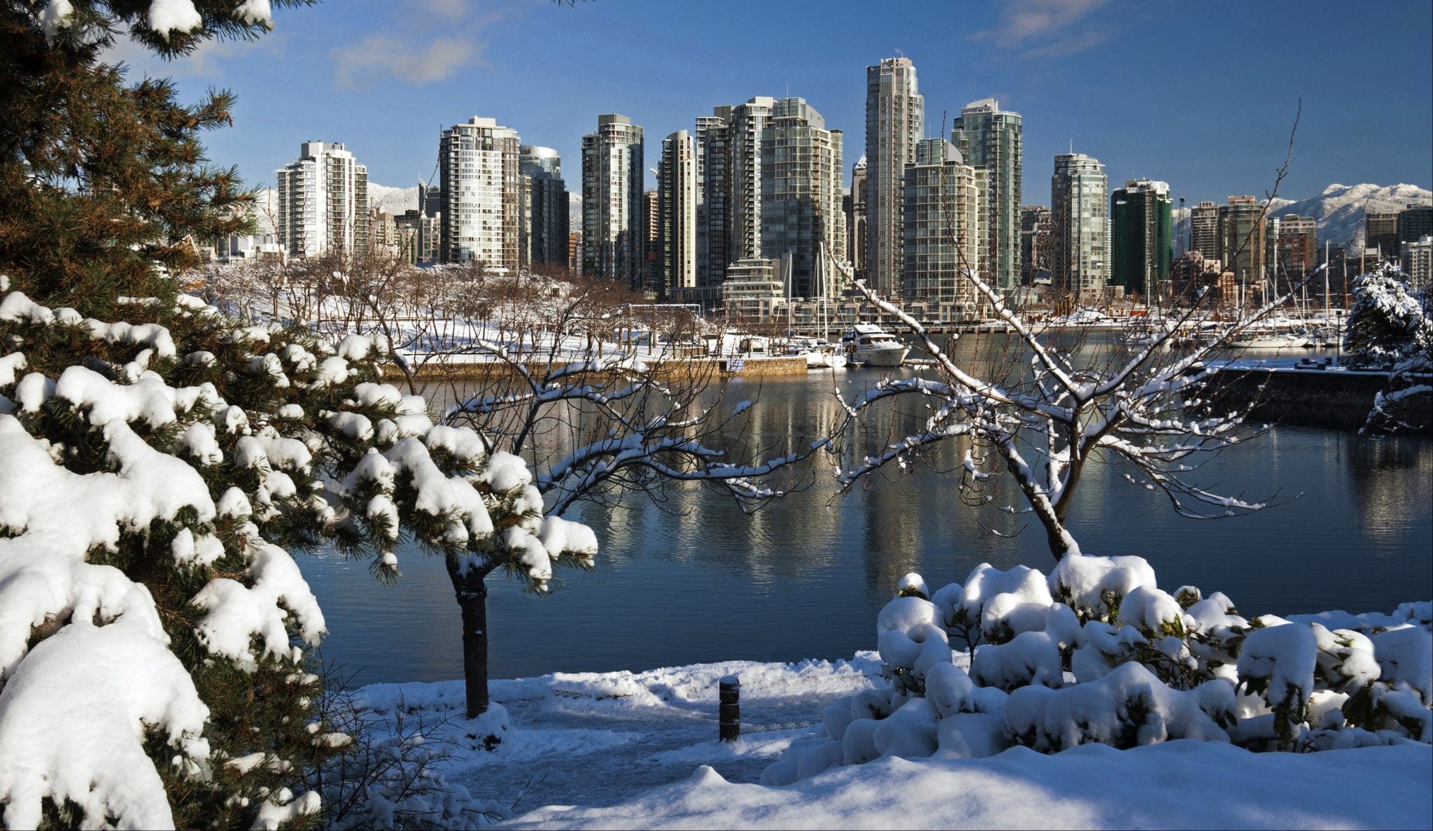 Vancouver’s First Snowfall Of 2021 Is Forecasted To Arrive This Weekend