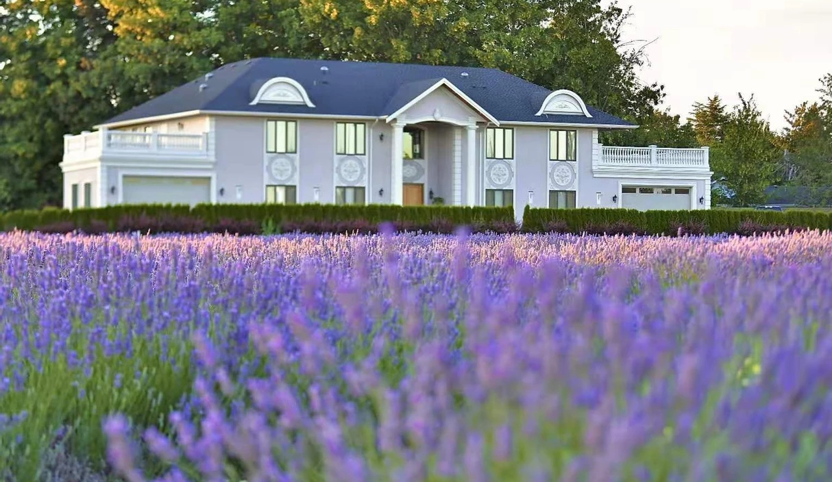 A Lovely New Lavender Farm Will Blossom Into Metro Vancouver This