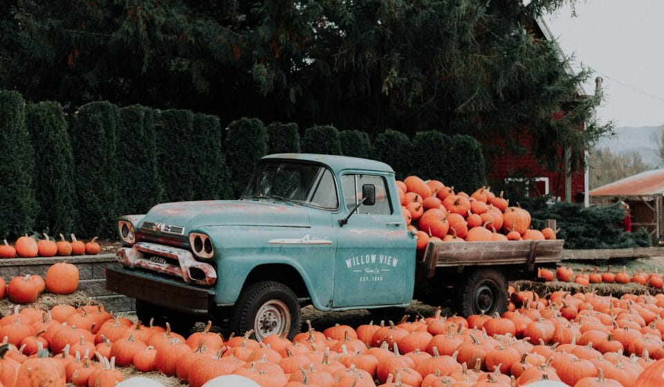 The 5 Best Pumpkin Patches Near Vancouver To Visit Before Halloween