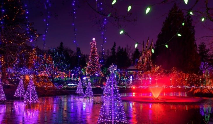 The Stunning Van Dusen Festival Of Lights Is Re-Opening Next Month