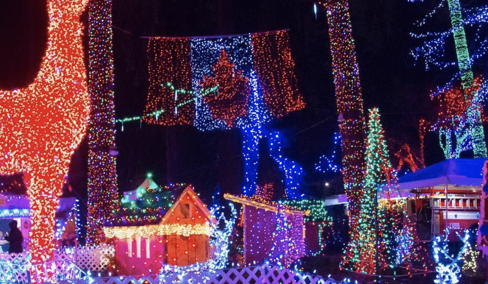 Stanley Park Is Lighting Up For The Holidays At The End Of The Month