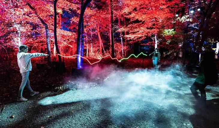 Dust Off Your Wands: The Spellbinding Forbidden Forest Experience Is Now Open In Vancouver