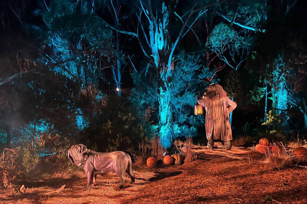 Forbidden Forest Experience Vancouver