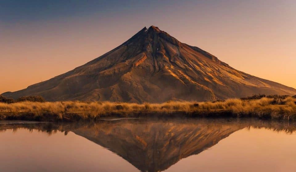 19 Reasons Why New Zealand Is The Best Place To Live In The World