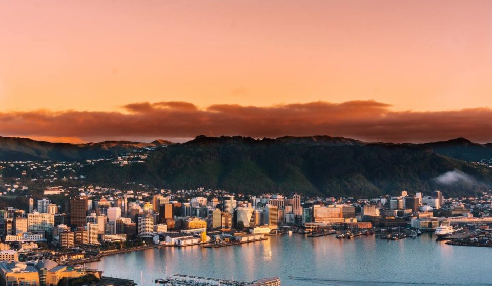 8 Of The Best Winter 2021 Activities To Do In Wellington