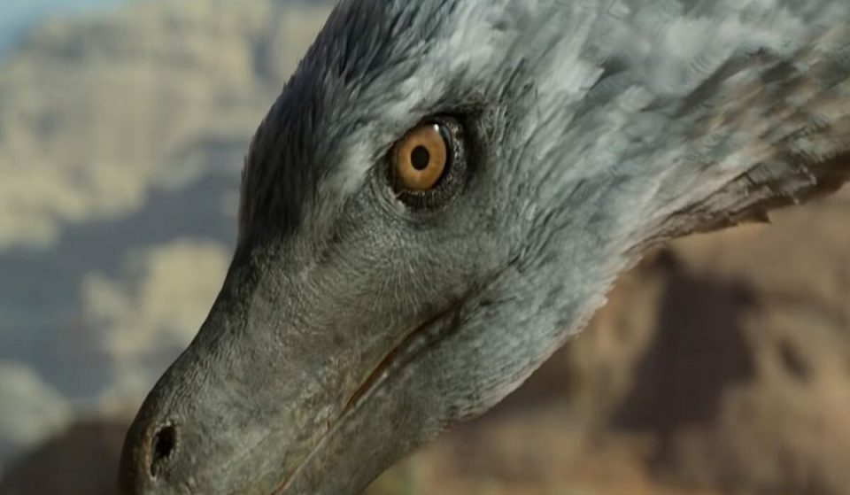 David Attenborough’s New Show About The Life Of Dinosaurs Drops In May
