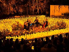 Knies Zauberhut verwandelt sich schon bald in ein gigantisches Blütenmeer und ihr könnt live dabei sein: Candlelight Spring kommt nach Zürich
