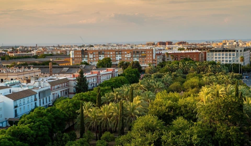 8 must-see places in the Buhaira Neighborhood