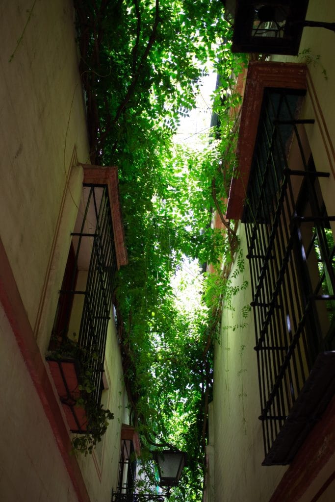 Calle Verde un rincón de magia e historia en la Judería