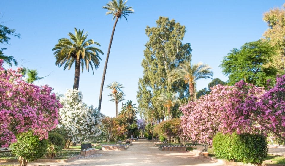 Un paseo histórico por los Jardines de Murillo
