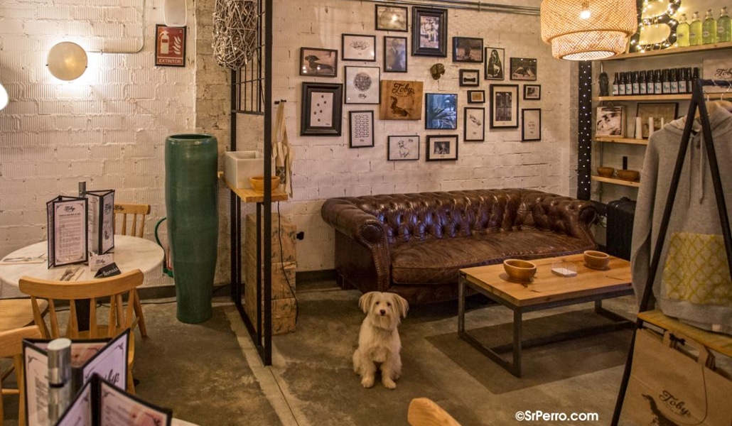 El restaurante ‘pet-friendly’ que debes probar con tu mascota