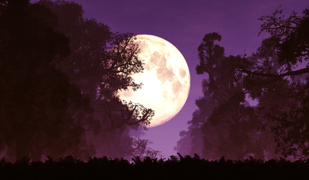 Por qué la superluna rosa de ayer fue super pero no tan rosa