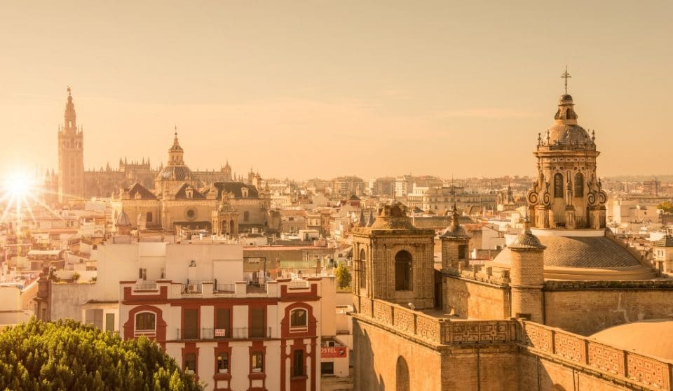 Alertan de una invasión de mosquitos ‘orejeros’ en Sevilla