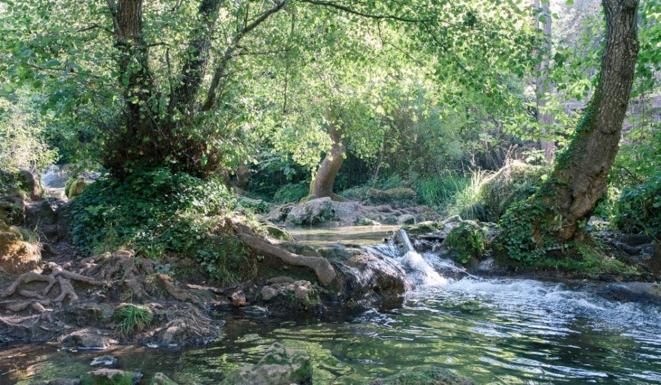 Ríos, lagos y pozas, los lugares menos aconsejados para el baño