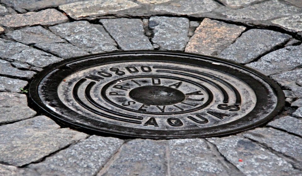 Plagas en Sevilla: muchas más cucarachas por el calor y el confinamiento