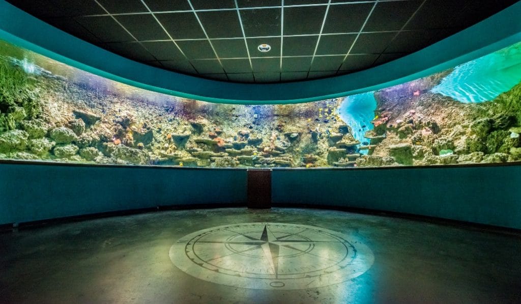El Acuario de Sevilla te descubre los ecosistemas por los que navegaron ...