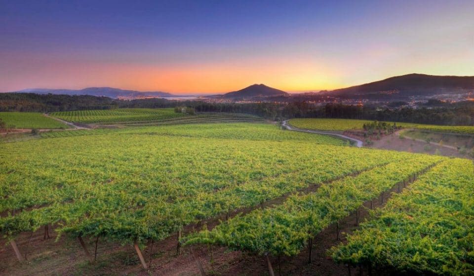 El mejor vino de La Rioja Alta llega a tu casa con esta cata personalizada