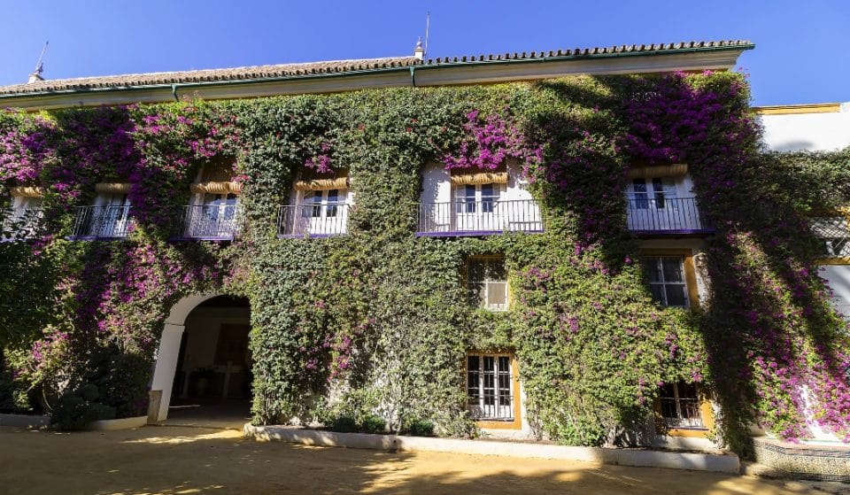 Casas sevillanas en las que nacieron personajes célebres