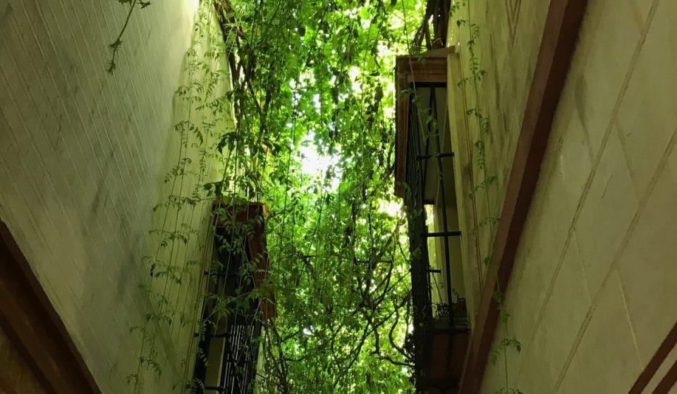 Calle Verde: un rincón de magia e historia en la Judería