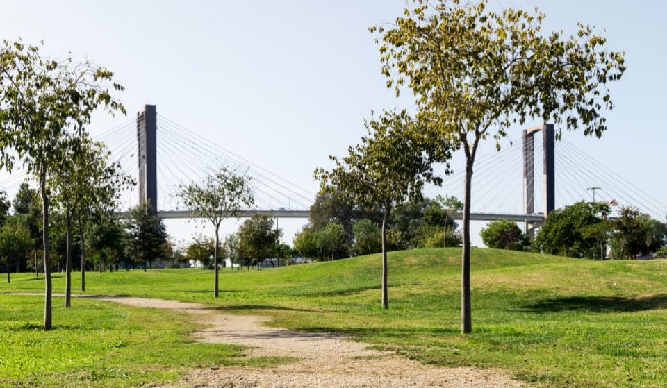 Sevilla tendrá un anillo verde de 42 kilómetros