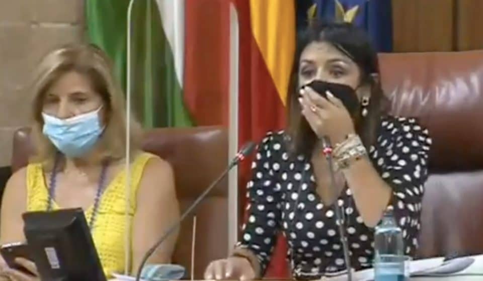 [Vídeo] Una rata interrumpe la sesión del Parlamento andaluz