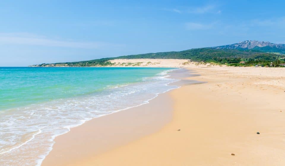 Bolonia, el oasis gaditano, es la segunda mejor playa de Europa