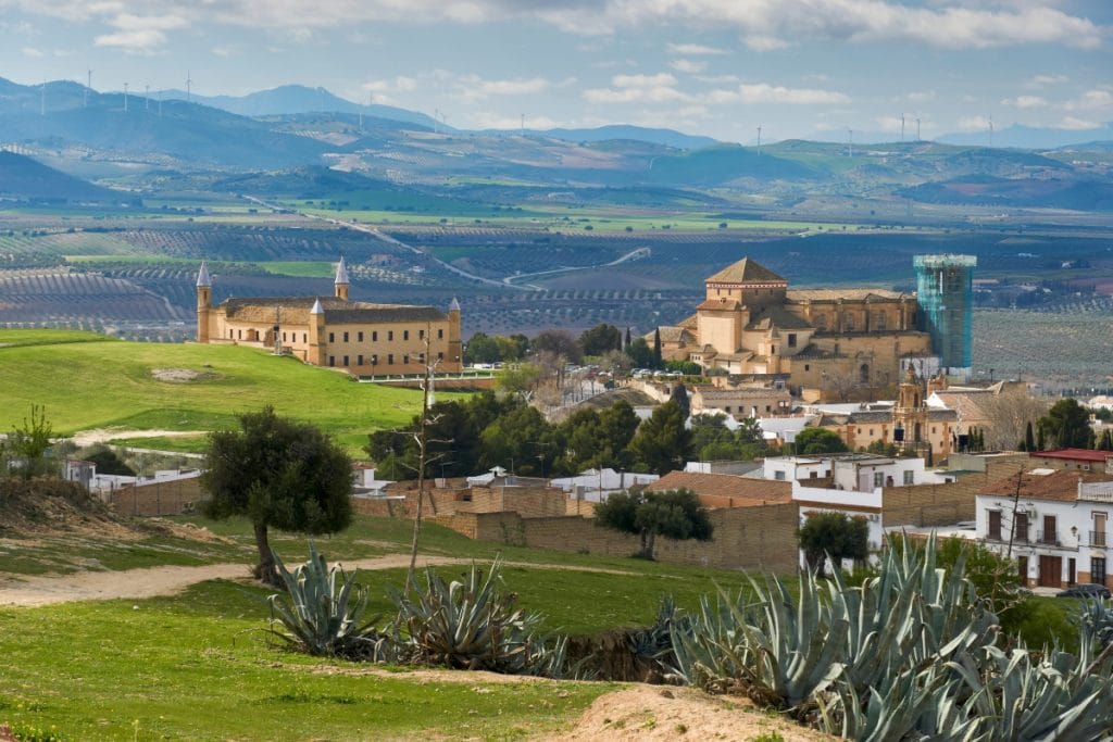 Coto de las Canteras Osuna vista