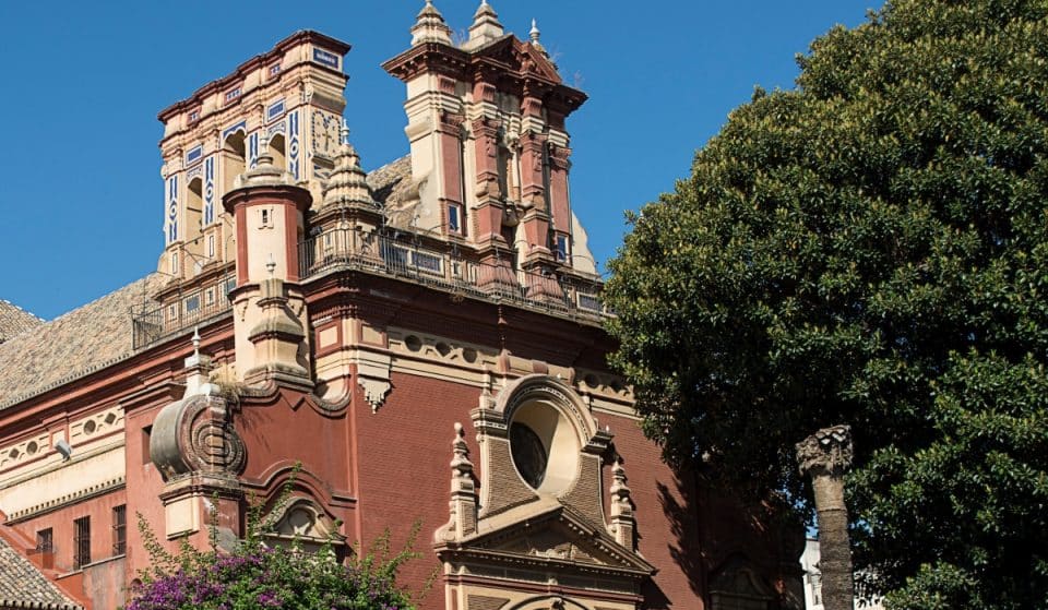 Suspenden «con carácter inmediato» la tala del ficus de Triana