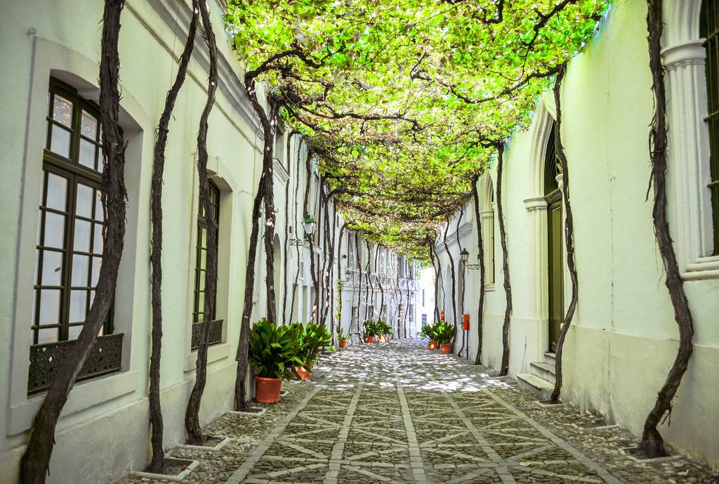 Calles más bonitas del mundo Andalucía Jerez
