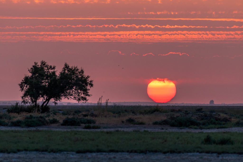 Doñana Patrimonio Mundial en peligro