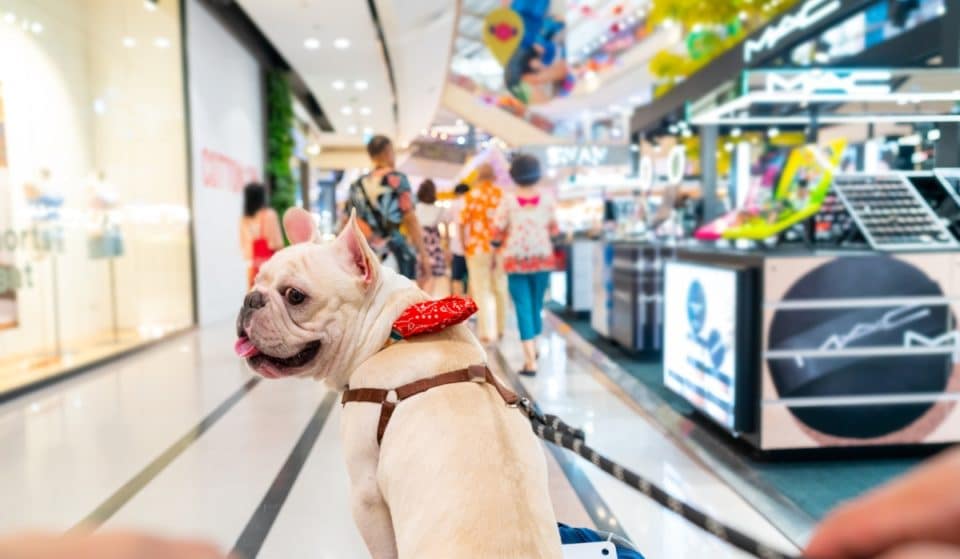 Las mascotas ya pueden acceder y «moverse libremente» por el centro comercial Lagoh