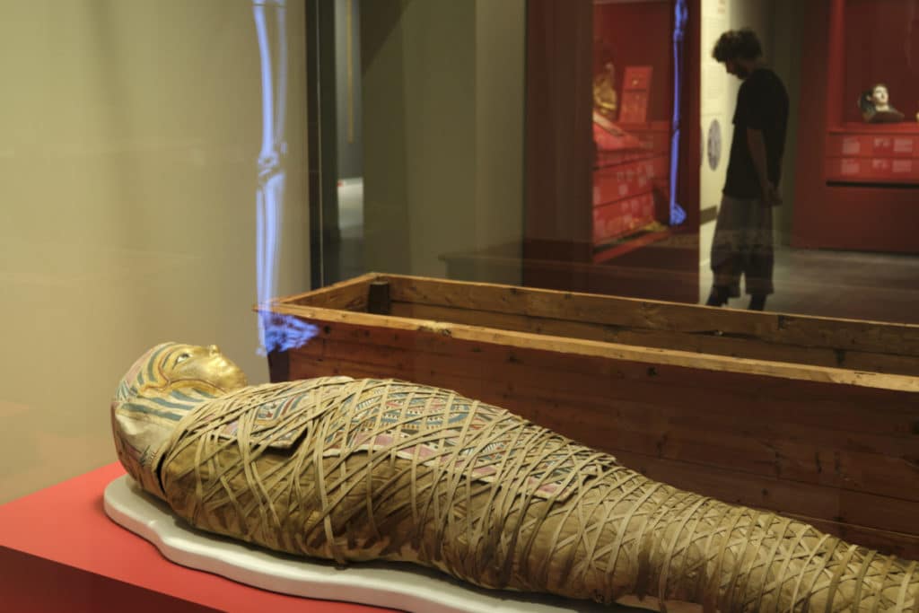 Momias de Egipto