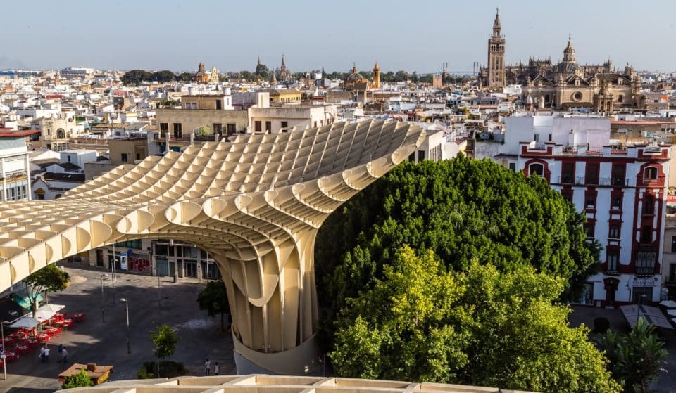 La Plaza de la Encarnación pierde su último ficus histórico
