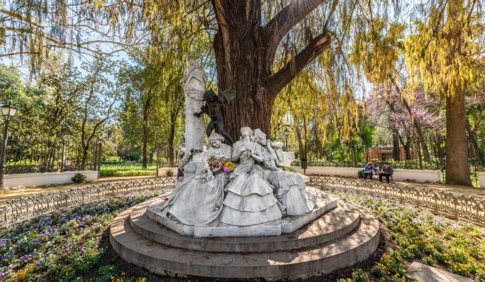 Un árbol de Sevilla aspira a ser el más bonito de España